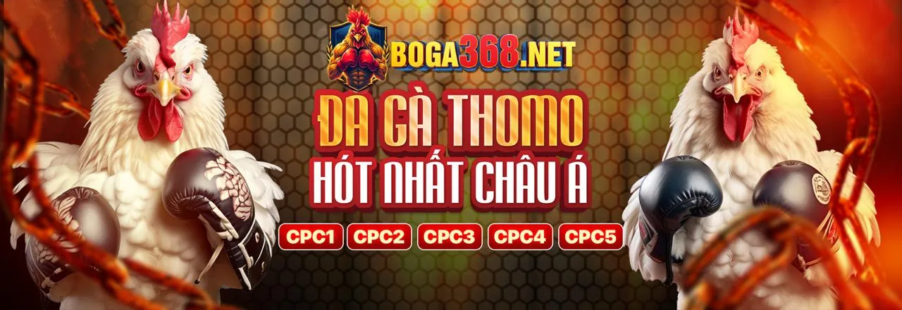 Hỗ trợ marketing chuyên nghiệp